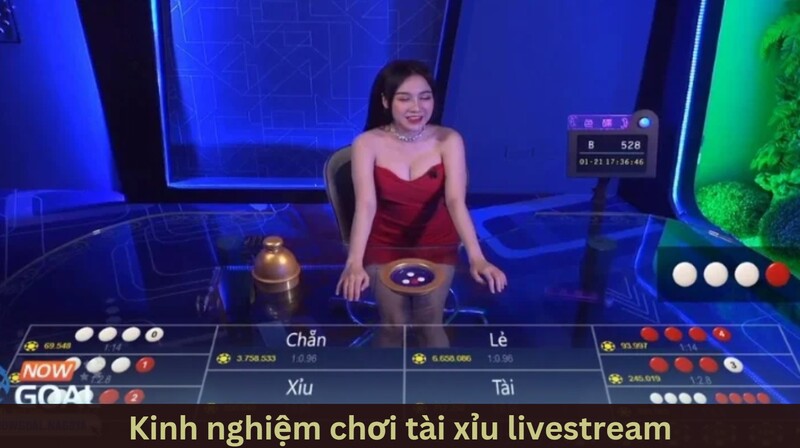 Kinh nghiệm và chiến thuật chinh phục tài xỉu livestream
